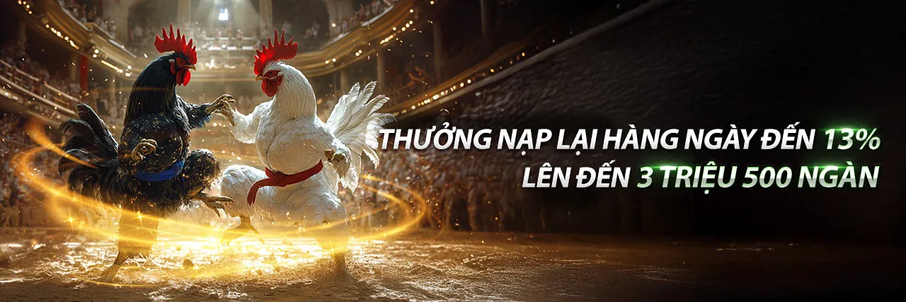 Đá gà trực tiếp Campuchia sôi động tại Viva88